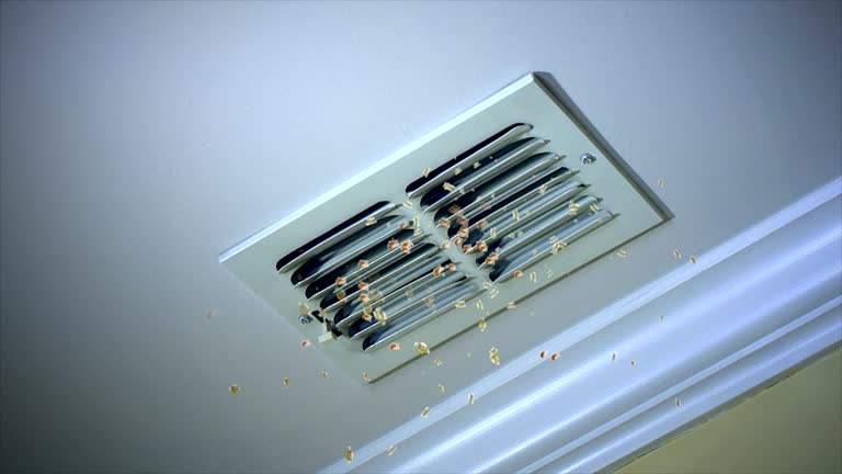 Best Best Air Duct Cleaning Company  in Ringgold, LA